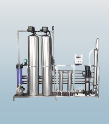 1000 SS LPH RO Plant